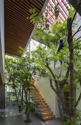 Light filters in from all sides and falls through the home's "canopy" of trees.