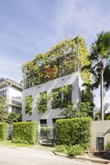 Ivy plants wrap along the open grills on the top floor, and spill over from the windows of the first floor to create a vibrant green facade. The home is part of a larger project by VTN Architects called "House for Trees."
