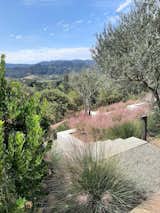 Site Overlook