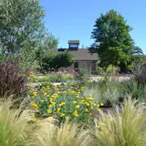 Extensive use of ornamental grasses, natives and Mediterranean plant pallet.