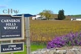 Aptly titled- Carneros Hills Winery!
#carneros, #winecountry