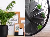 The queen of the crown is a spiral staircase, installed in the renovation when the two levels were differentiated, in which Gemma wanted to integrate Green,"I love to work surrounded by plants because it relaxes me and makes me happy to take care of them", she says.