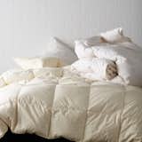 Organic RDS Down Comforter