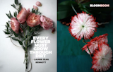 Left: Unknown, Right: from kvtes.tumblr.com, Right: From a beautiful site Sinjabloeme Flower Arrangements