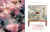Left: Spotted Hyena's, Photo: Unknown, Left: Amazing cabinet, Designer Unknown