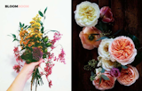 Left: Unknown, Right: Heirloom garden roses