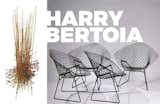 Left: Cornet Sculpture, 1964, Image courtesy of Sotherbys, Right: The famous Diamond chairs for Knoll