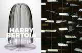 Left: Willow sound sculpture, 1970, Right; Detail of sculpture  Photo 4 of 8 in Inspiring Icon / Harry Bertoia