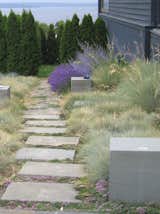 Blocks of solid bluestone add structure to this casual path that meanders through an exuberantly planted drought-tolerant garden.  The blocks serve as pedestals for the family's glass art as well as stools for pausing to enjoy a cup of tea and the Puget Sound view.  