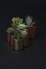 The minimalistic Pots for lush indoor greens.