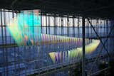  Installation located inside the greenhouse of the Grattacielo Intesa Sanpaolo in Turin.