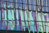 The daily light reverberates on the scales creating suggestive and multi-shade plays of light