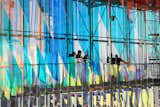The daily light reverberates on the scales creating suggestive and multi-shade plays of light