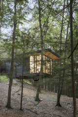 Exterior, House Building Type, Flat RoofLine, and Wood Siding Material  Photo 1 of 28 in Cat Hill by Studio MM Architect