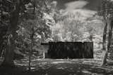 Exterior, Flat RoofLine, House Building Type, and Wood Siding Material  Photo 5 of 17 in Kaat Cliffs by Studio MM Architect