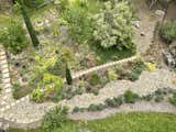 Looking 60 feet down at the restored canyon garden