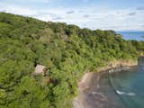 A view from the tree top cabins, nestled in the jungle.