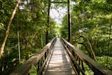 The suspension bridge