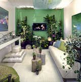  a little breathing room ( the ultimate luxury in NYC )   Search “엠빅스에스 구매 판매 → 홈피 : ppp555.site ← 비뇨기과 정자검사 엠빅스에스 구매 가격 비뇨기과 정자검사 파는곳 ( 카톡:CBBC )-( 텔레:CBBC88 )”