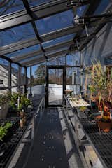 The greenhouse and the deck