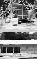 Study Model