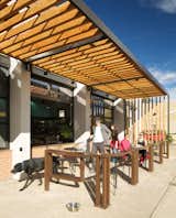 Outdoor patio and seating area. Steel and timber trellis structure. 