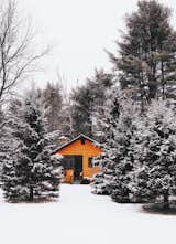 Bashful cabin is bashful. Upstate New York.