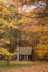 Fall Foliage Dream:

I'm convinced there's no better fall foliage on earth than in the Catskills. Not only is it my favorite time of year but it also makes each humble abode pop against the bright orange and yellow backdrop. I'd probably drop everything I'm doing to live in this hut right now.  Photo 2 of 12 in VACATION by Bruce Fratezi from Jack Tumen
