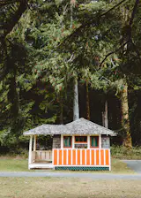 The Side Porch:

Ever since I was young I've always seen faces on houses. This one was grinning at me with its teal curtain eyes and bright orange teeth, inviting me inside. 