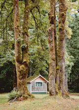 The Silver Moon:

I came across this cabin on Lake Crescent called Silver Moon. When it caught my eye, it was framed almost perfectly between two ancient mossy trees. What you see in this image is what I first saw when I laid eyes on it. The PNW at its best right there.