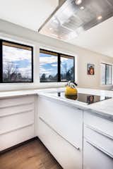 IKEA cabinet boxes with The Cabinet Face  Matte White and Matte Fronts