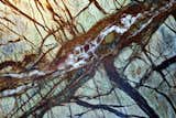 On the marble fireplace surround: “There are so many possible readings, it could be an aerial photo or a topographic map, but with the current snowy winter weather, it can also appear to be a tangled mash of tree branches.”  – Gary Wolf