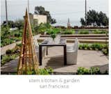  Photo 8 of 8 in Farmscape Residential & Commercial Edible Gardens by Sarah Green