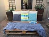 Saligna Pallets turned into a day Bed 