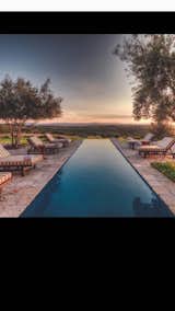 Infinity pool overlooking verdant grounds of this eight acre property