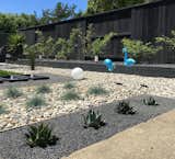  Photo 5 of 13 in 1955 Eichler Home landscaping by fogmodern