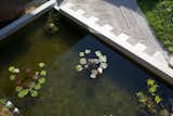 Bio-filtered Pond