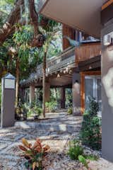 The house at Camp Biscayne [Tree House] is nestled in a tropical hardwood Hammock, surrounded by large mature live oaks and saw palmettos.