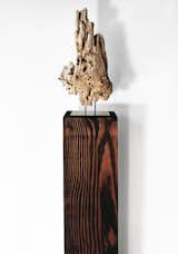 wood sculpture by Neshka Krusche