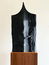 Charred wood sculpture, https://www.neshka.com/sculpture/