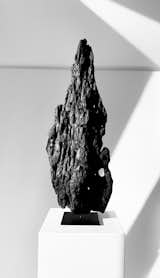 Charred cedar sculpture by Neshka Krusche.  Photo 10 of 26 in Sculpture 2023 by Neshka Krusche