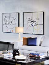 "Big Bowl #5," acrylic, ink, graphite, and collage on raw muslin; "Dragonfly," acrylic & pastel on muslin, by Vicki Sher