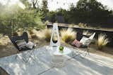  Photo 7 of 10 in Mid-Century Modern Tom Gist Backyard by Elizabeth Przygoda-Montgomery