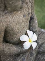 A ZEN moment is waiting for you at Kukui`ula's Hi`ilani Spa + Fitness