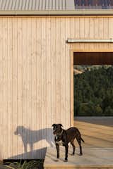 Exterior, Wood Siding Material, and House Building Type  Photo 7 of 8 in Karangahake House by Abodo Wood
