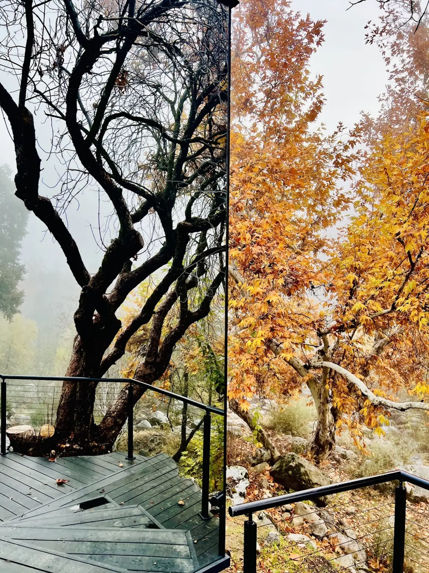 View of Off-Grid & Sustainable Luxury Tiny Home Treehouse Airbnb!