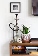 Plants and accessories