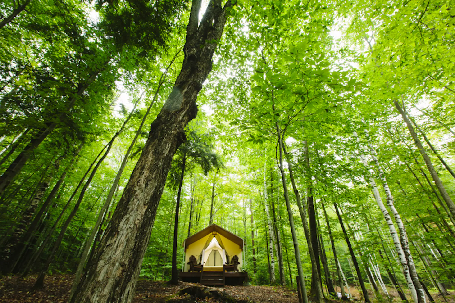 Take long hikes on winding paths and mountain trails, wade barefoot in cool streams, canoe on tranquil lakes, or just gaze at the star-filled night sky all while enjoying the sounds of the wild. Camp Orenda provides six spacious, private canvas cabins, uniquely named: Hemlock, Hillsider, Birch, Lodge, Mill Creek, and Ridge Top; each completely furnished to accommodate two or four guests. These rustic "cabins" have a contemporary design with Adirondack inspired furnishings and amenities including down comforters, fleece blankets, pillows, fresh linens, and towels.