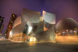 Walt Disney Concert Hall has received wide acclaim for its excellent acoustics and distinctive architecture. In the decade since its opening, the hall's sweeping, metallic surfaces have become associated with Frank Gehry’s signature style.