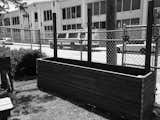 Outdoor, Front Yard, Trees, Garden, Flowers, and Wood Fences, Wall Front zen garden planter boxes taking shape.  Photo 2 of 10 in Project Willow, West Oakland by Byron Loker